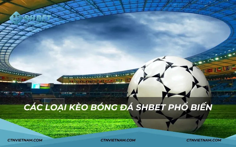 Các kèo cá cược bóng đá SHBET phổ biến