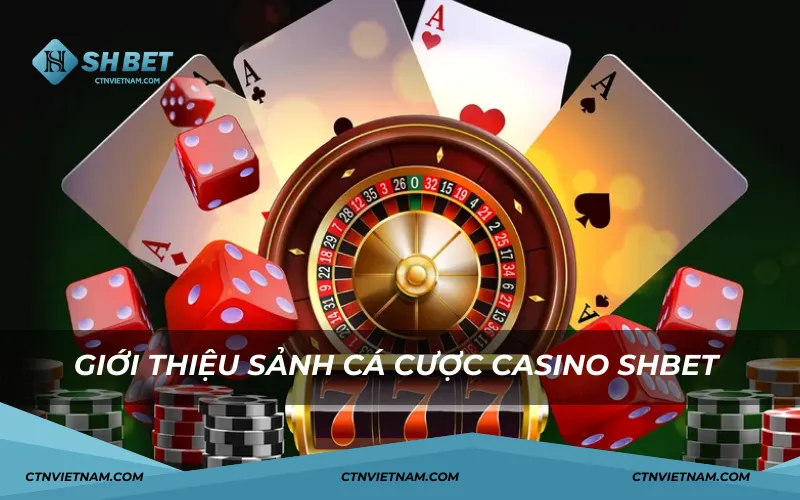 Giới thiệu sảnh cá cược Casino SHBET