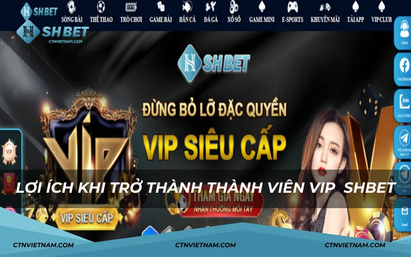 Lợi ích khi là thành viên VIP SHBET