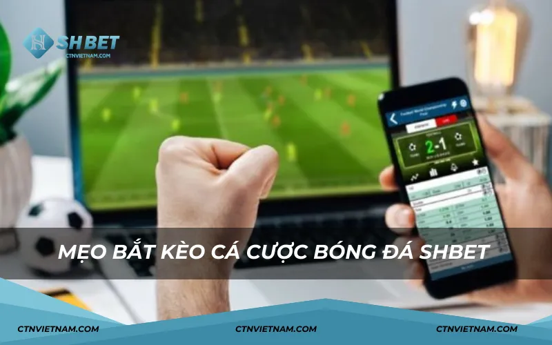 Mẹo bắt kèo cá cược bóng đá SHBET